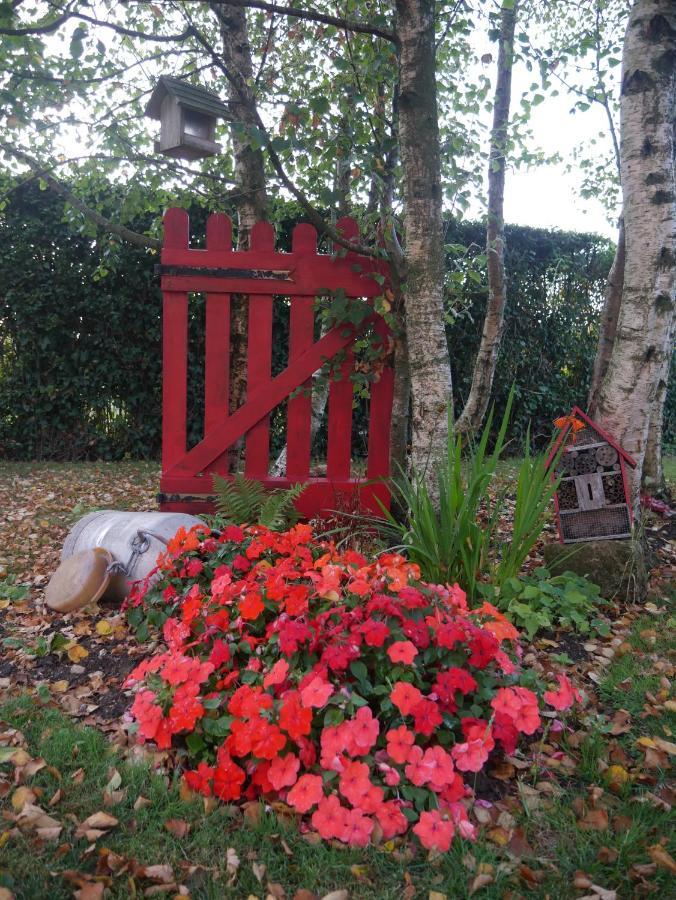 Leubringhen Opale Des Caps Bed & Breakfast エクステリア 写真